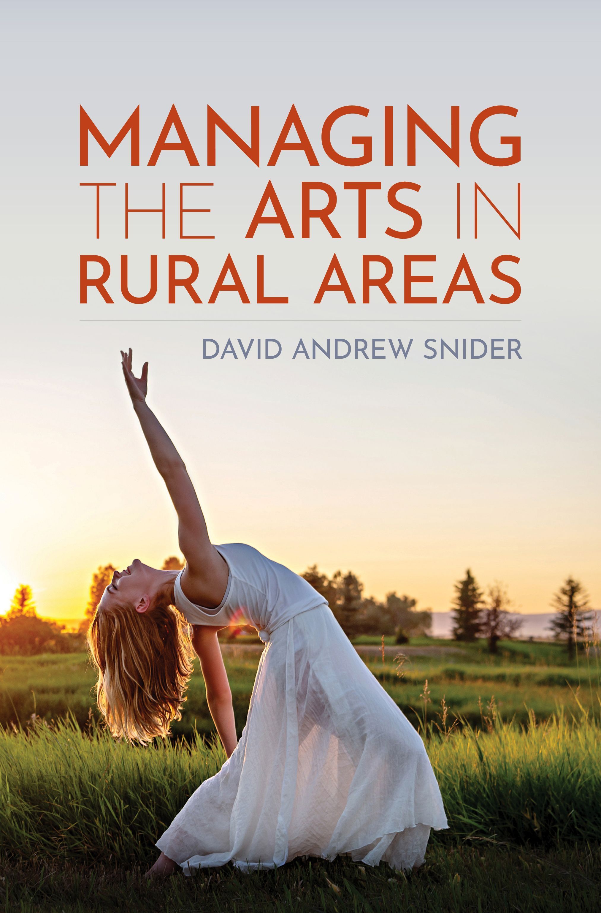 Managing the Arts in Rural Areas By David Andrew Snider 9781538177556