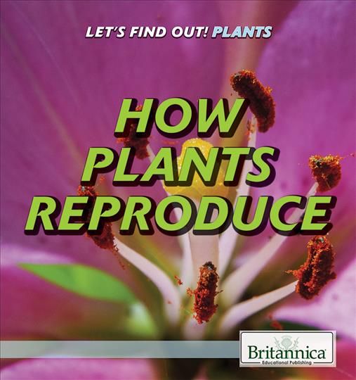 How Plants Reproduce By Judy Silverstein Gray 9781538301944