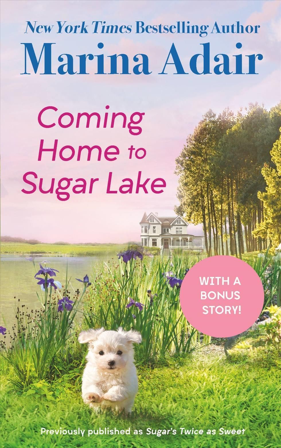 Coming Home to Sugar Lake (previously published as Sugar's Twice as Sweet)