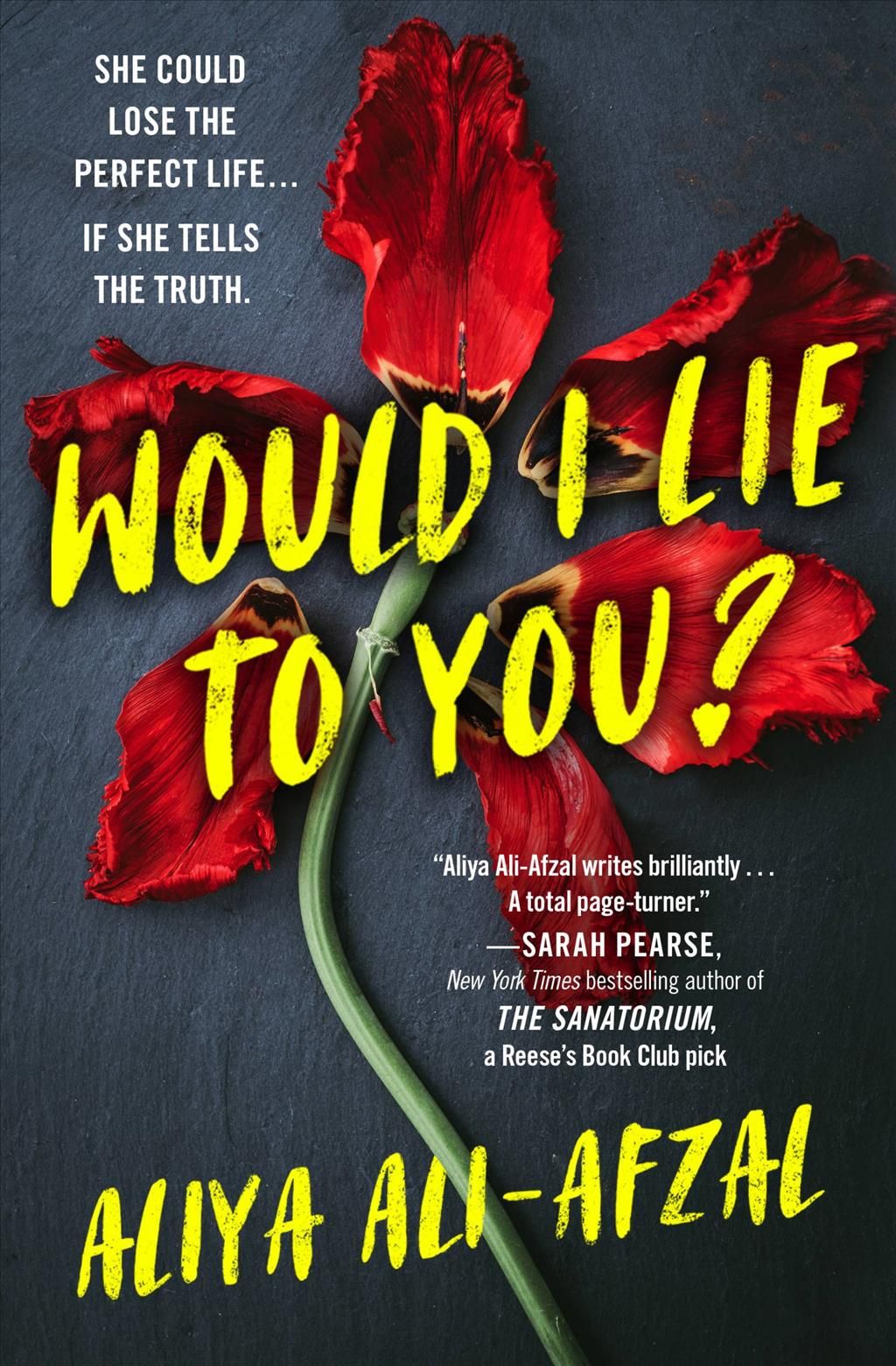 Would I Lie to You? By Aliya Ali-Afzal 9781538755020 (Paperback)