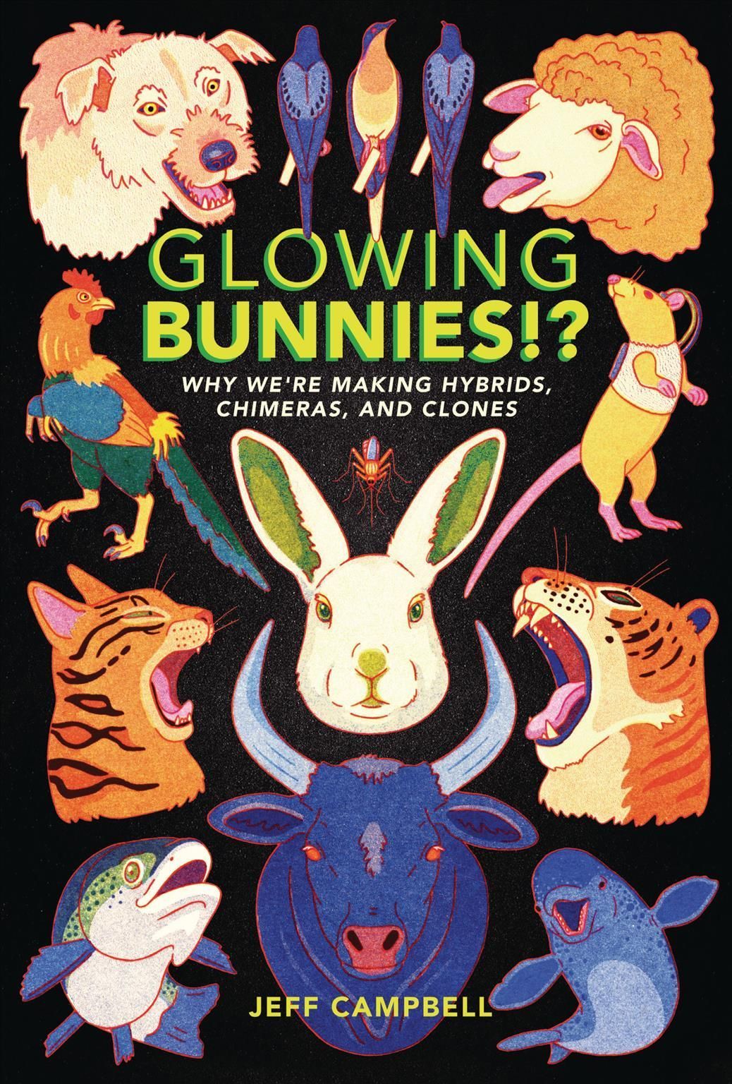 Glowing Bunnies!? By Jeff Campbell 9781541599307 (Paperback)