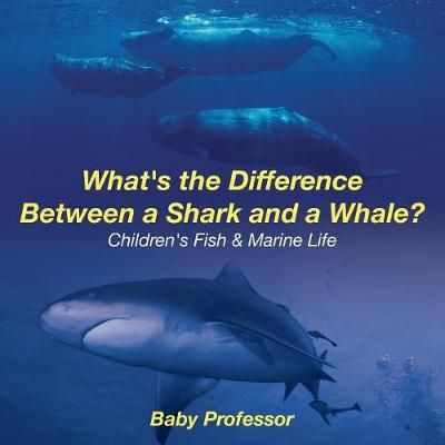 What's the Difference Between a Shark and a Whale? Children's Fish & Marine Life