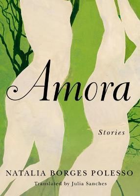 Amora By Natalia Borges Polesso (author), Julia Sanches (translator)