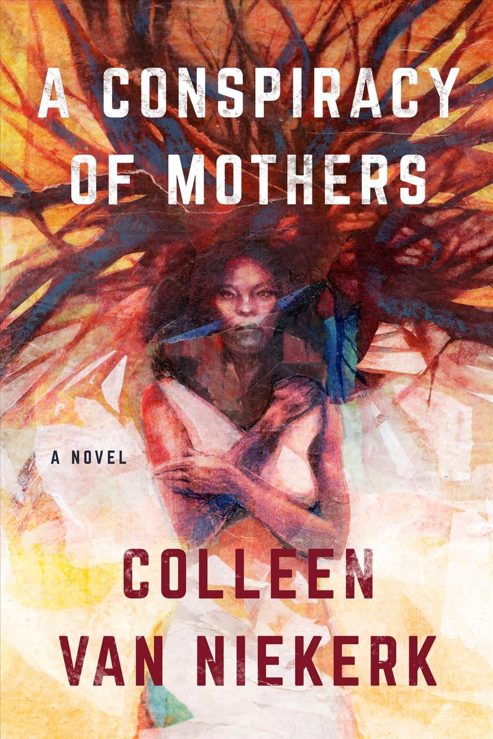 Conspiracy of Mothers By Colleen van Niekerk 9781542023849 (Paperback)