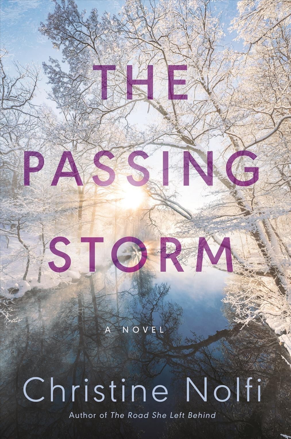 The Passing Storm By Christine Nolfi 9781542029124 (Paperback)