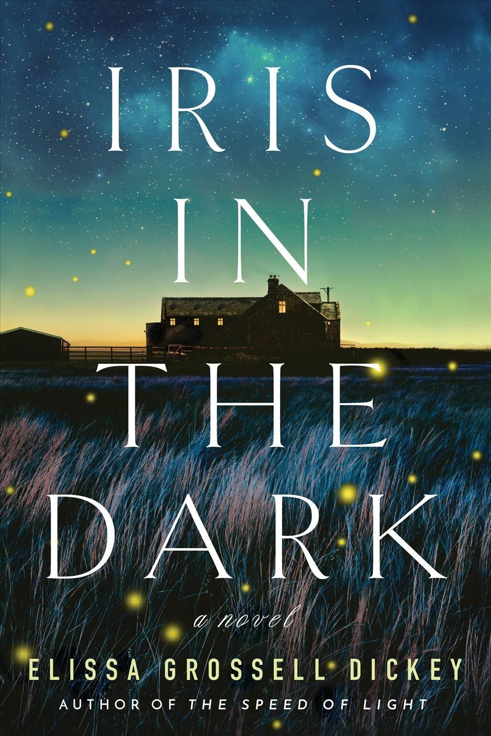 Iris in the Dark By Elissa Grossell Dickey 9781542037822 (Paperback)