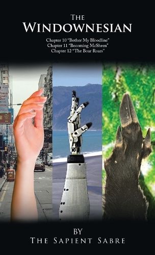 The Windownesian By The Sapient Sabre 9781543780604 (Hardback)