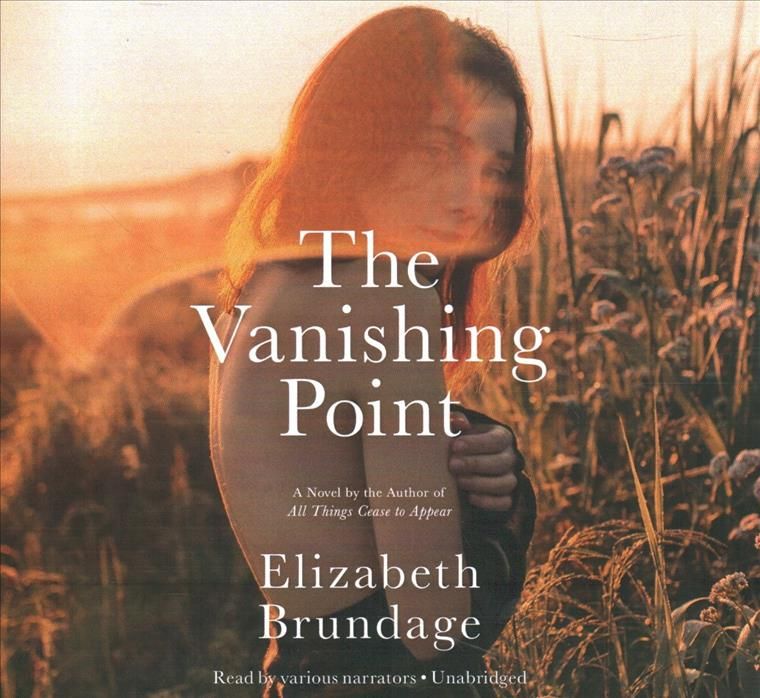 The Vanishing Point Lib/E 9781549137501 (CD-Audio)