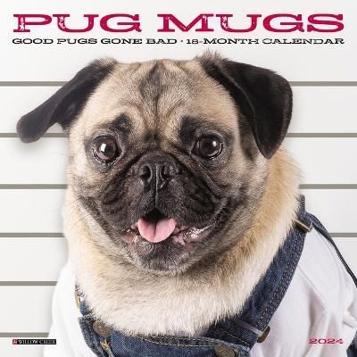 Pug Mugs 2024 7 X 7 Mini Wall Calendar By Willow Creek Press