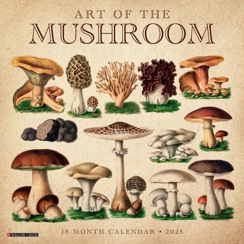 Art of the Mushroom 2025 12 X 12 Wall Calendar By Willow Creek Press