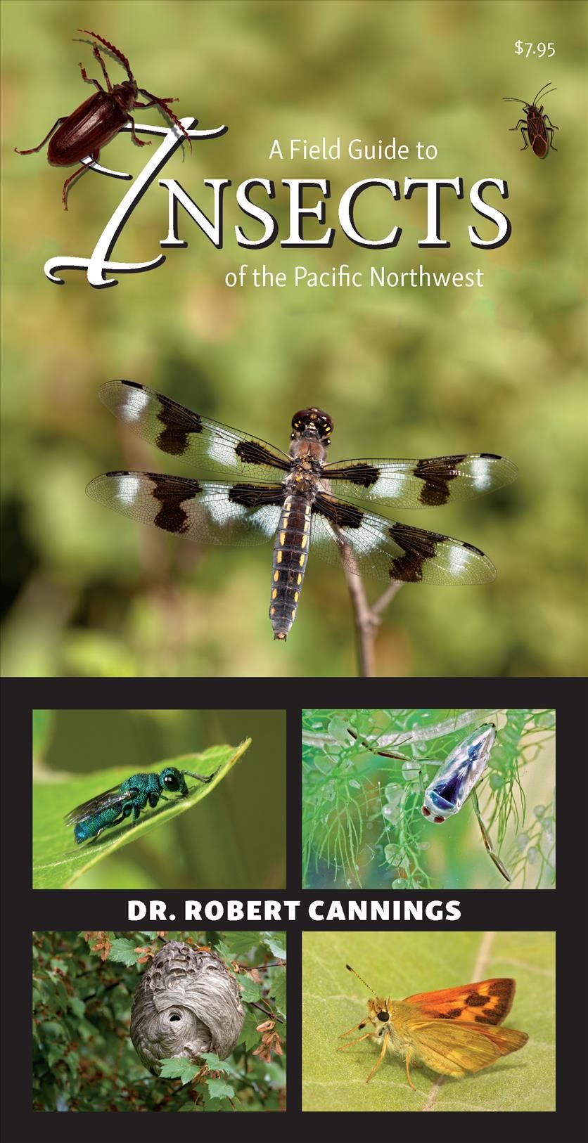 A Field Guide to Insects of the Pacific Northwest By Robert Cannings
