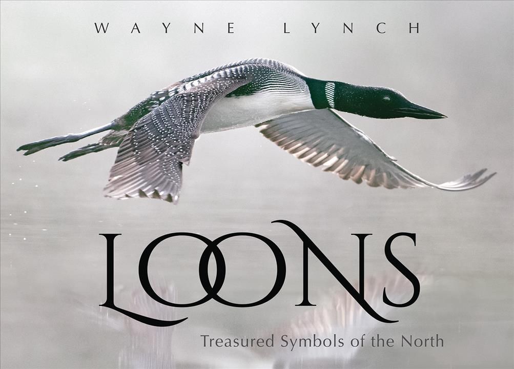 Loons By Wayne Lynch 9781554555734 (Paperback)