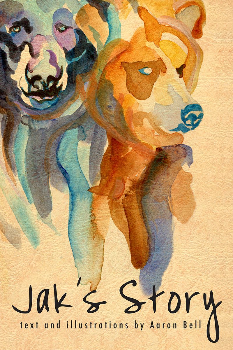 Jak's Story By Aaron Bell 9781554887101 (Paperback)