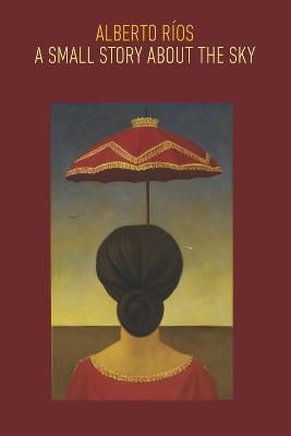 A Small Story About the Sky By Alberto Ríos 9781556594793 (Paperback)
