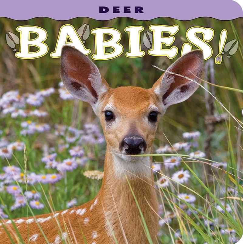 Deer Babies! By Donald M Jones (photographer) 9781560370833