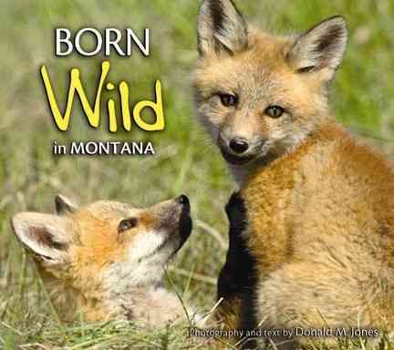 Born Wild in Montana 9781560374879 (Paperback)