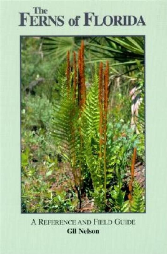 The Ferns of Florida By Gil Nelson 9781561641970 (Paperback)