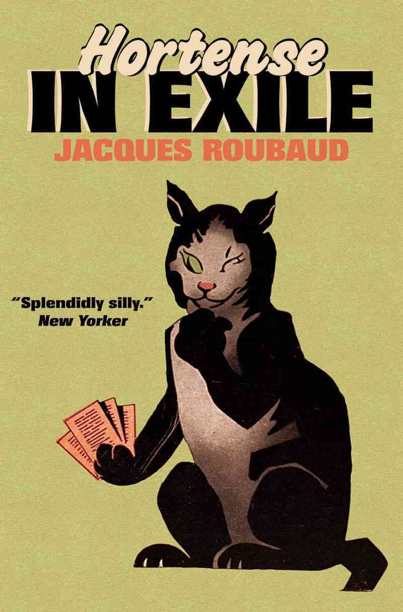 Hortense in Exile By Jacques Roubaud 9781564782557 (Paperback)