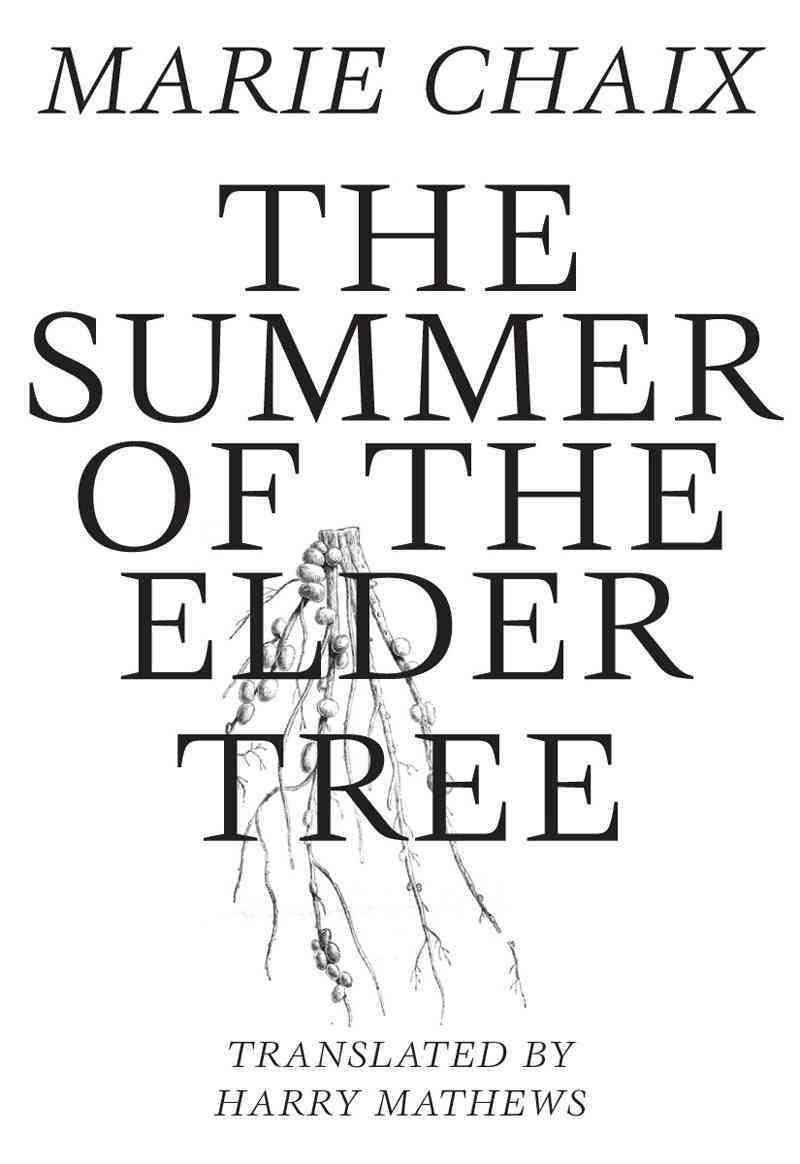 Summer of the Elder Tree By Marie Chaix 9781564788528 (Paperback)