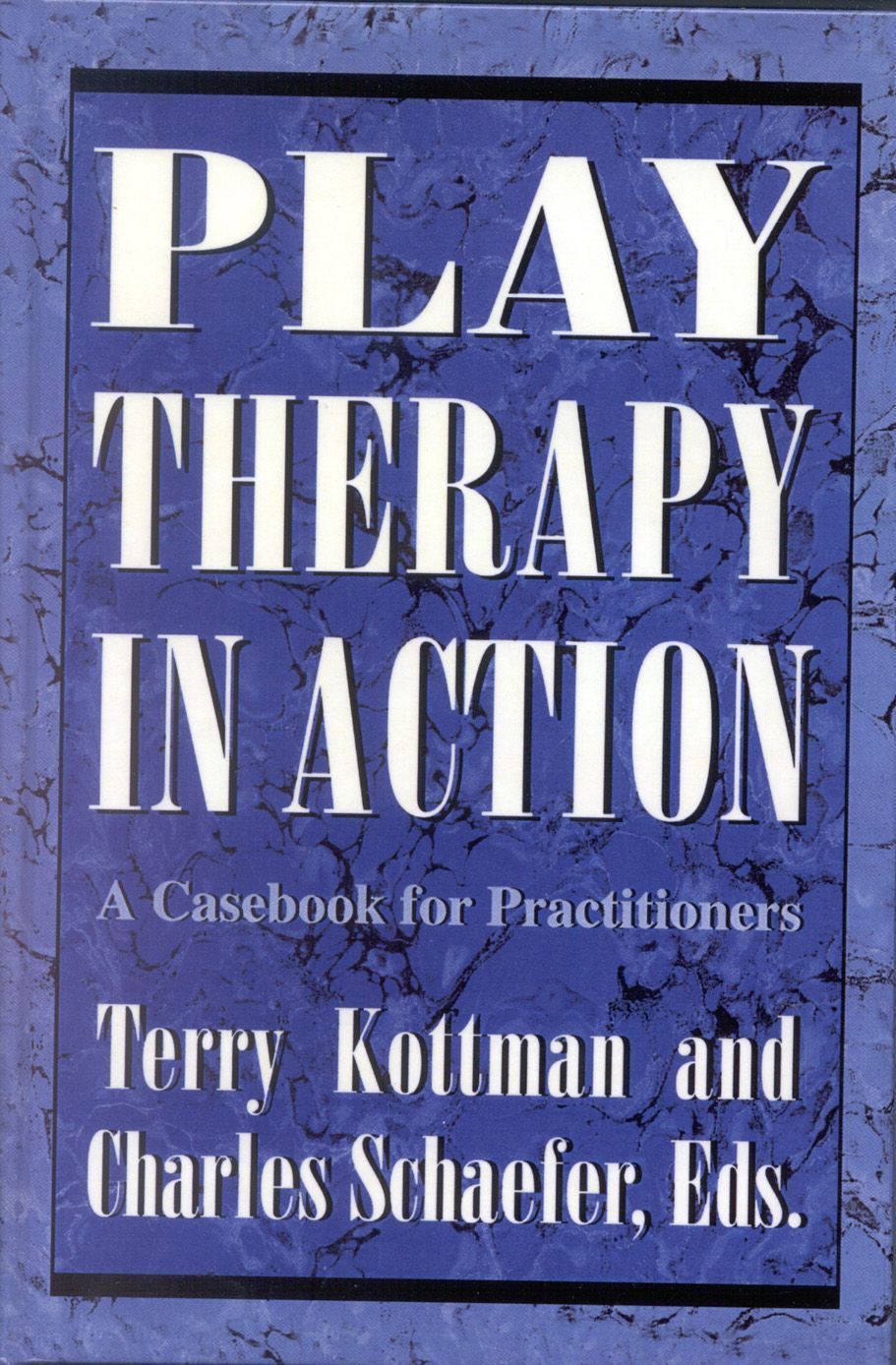 Play Therapy in Action By Terry Kottman 9781568210582 (Hardback)