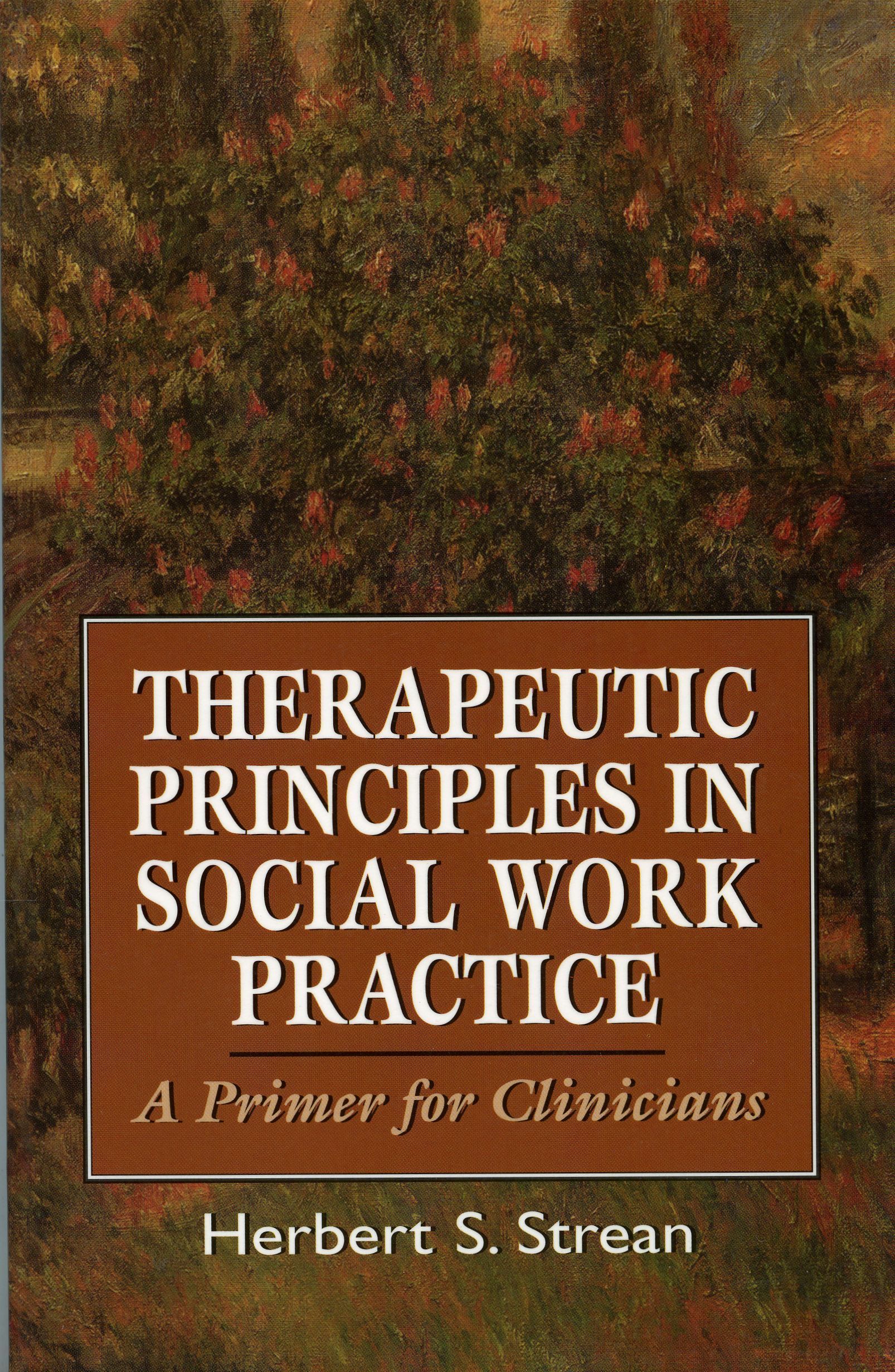 Therapeutic Principles in Social Work Practice By Herbert S. Strean