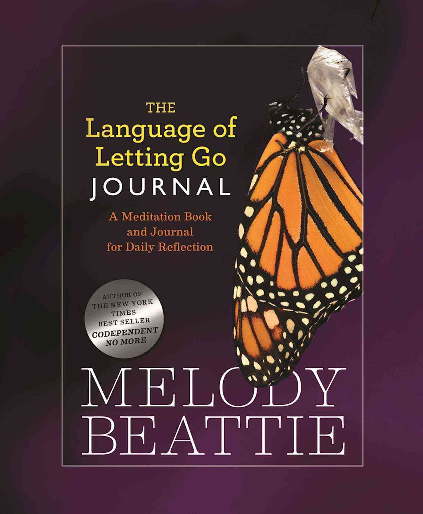 The Language of Letting Go Journal By Melody Beattie 9781568389844