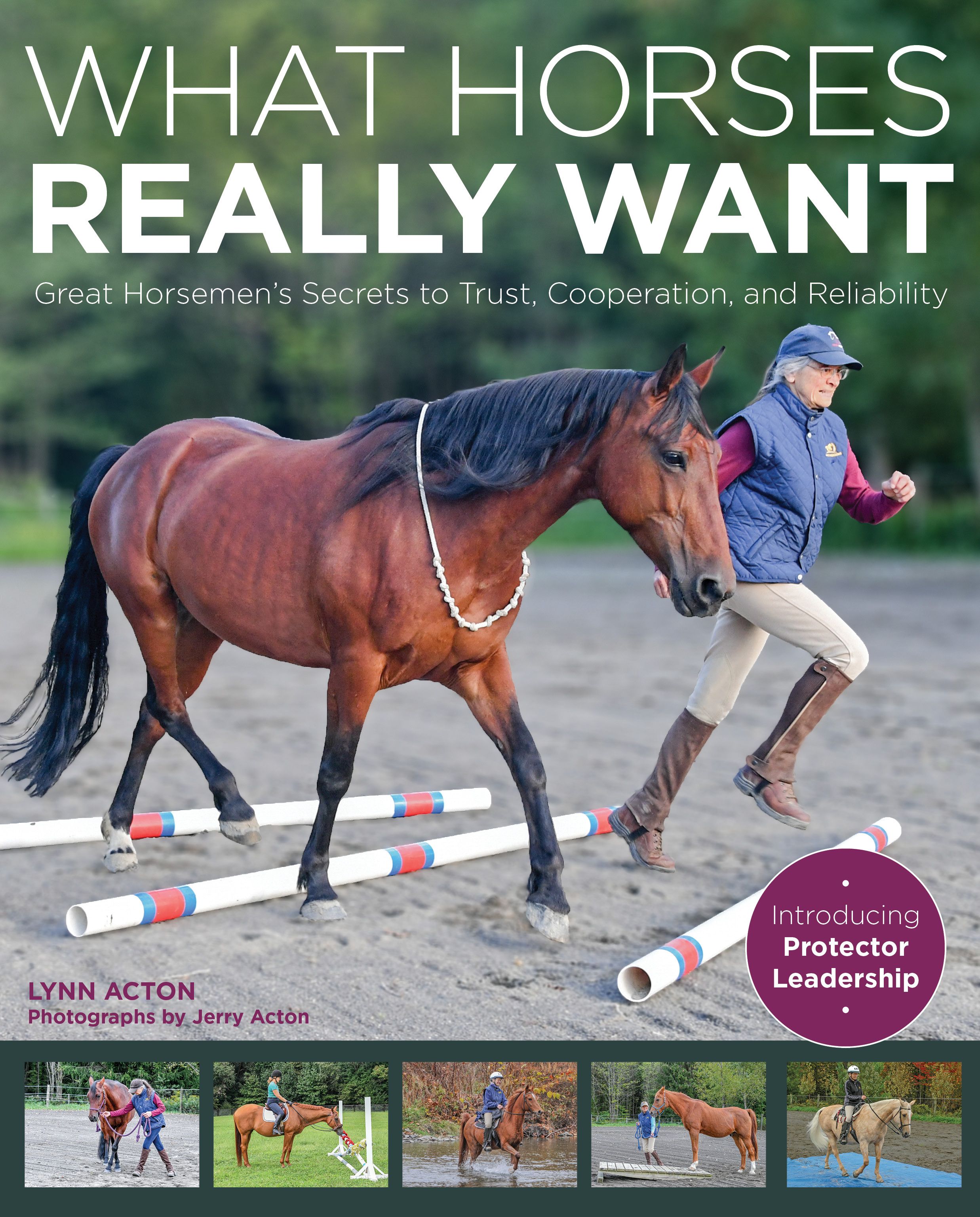 What Horses Really Want By Lynn Acton 9781570769450 (Paperback)