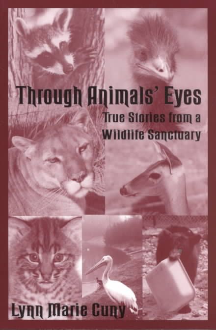 Through Animal's Eyes By Lynn Marie Cuny 9781574411300 (Paperback)