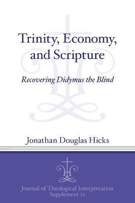 Trinity, Economy, and Scripture By Jonathan Hicks 9781575064116