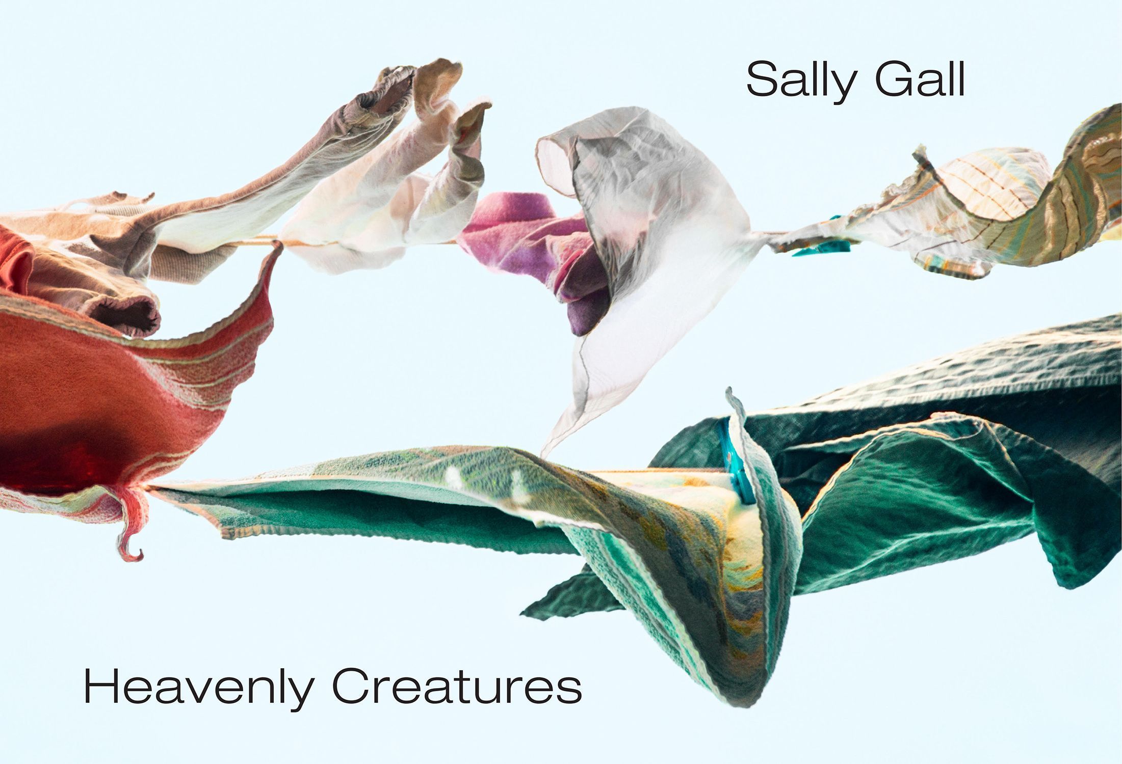 Heavenly Creatures By Sally Gall 9781576879160 (Hardback)