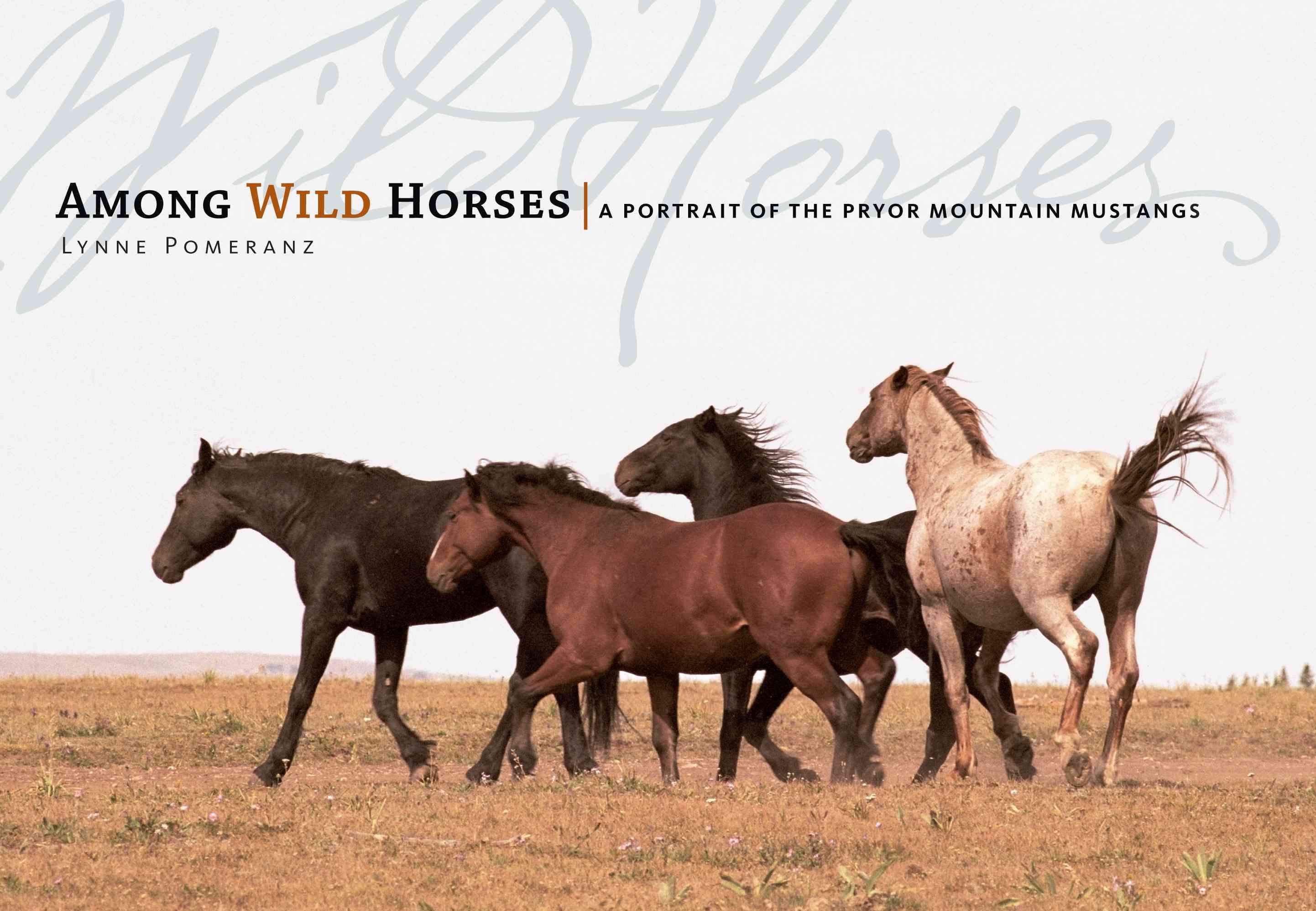 Among Wild Horses By Rhonda Massingham 9781580176330 (Hardback)