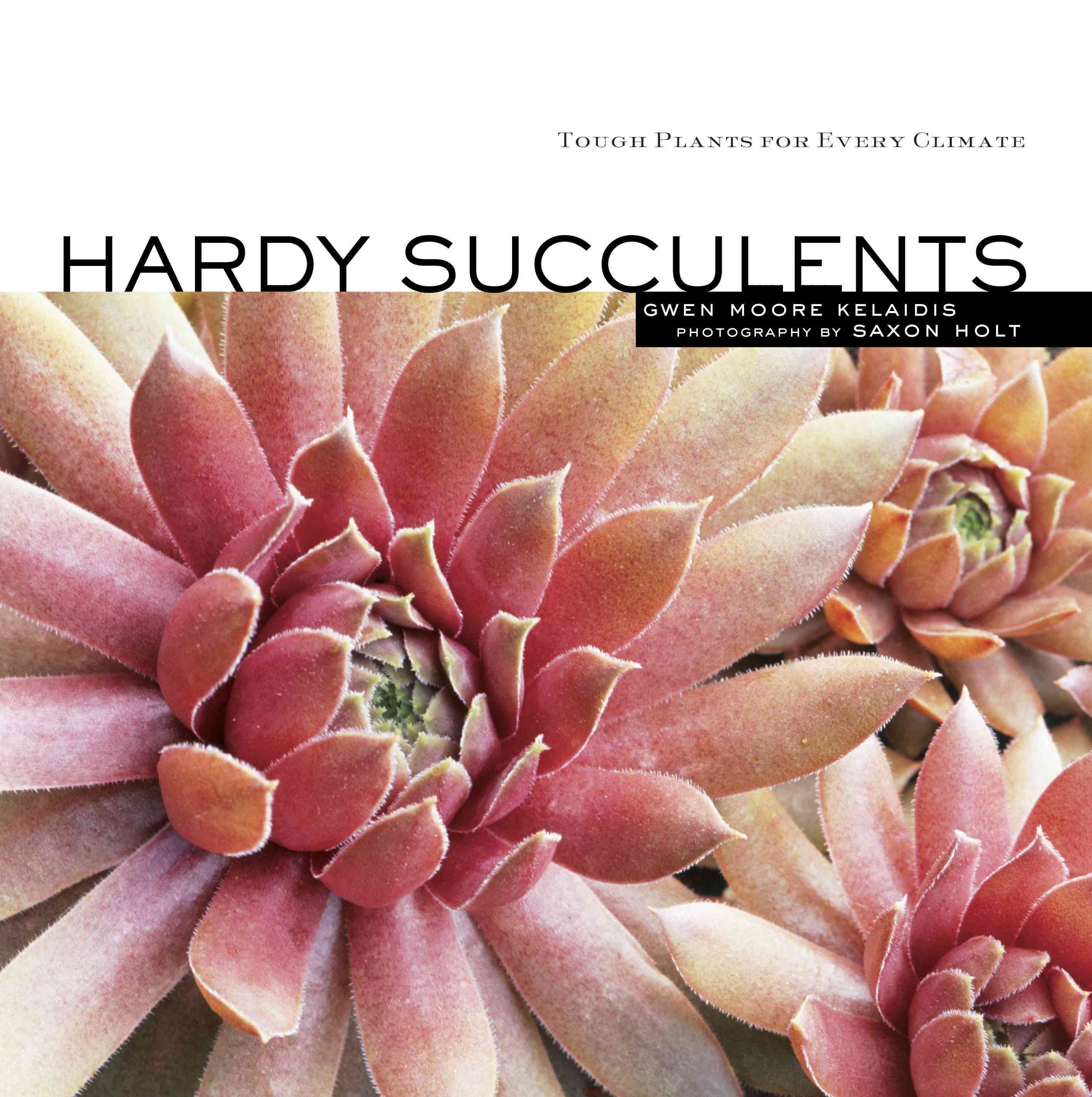 Hardy Succulents By Gwen Moore Kelaidis, Saxon Holt 9781580177009