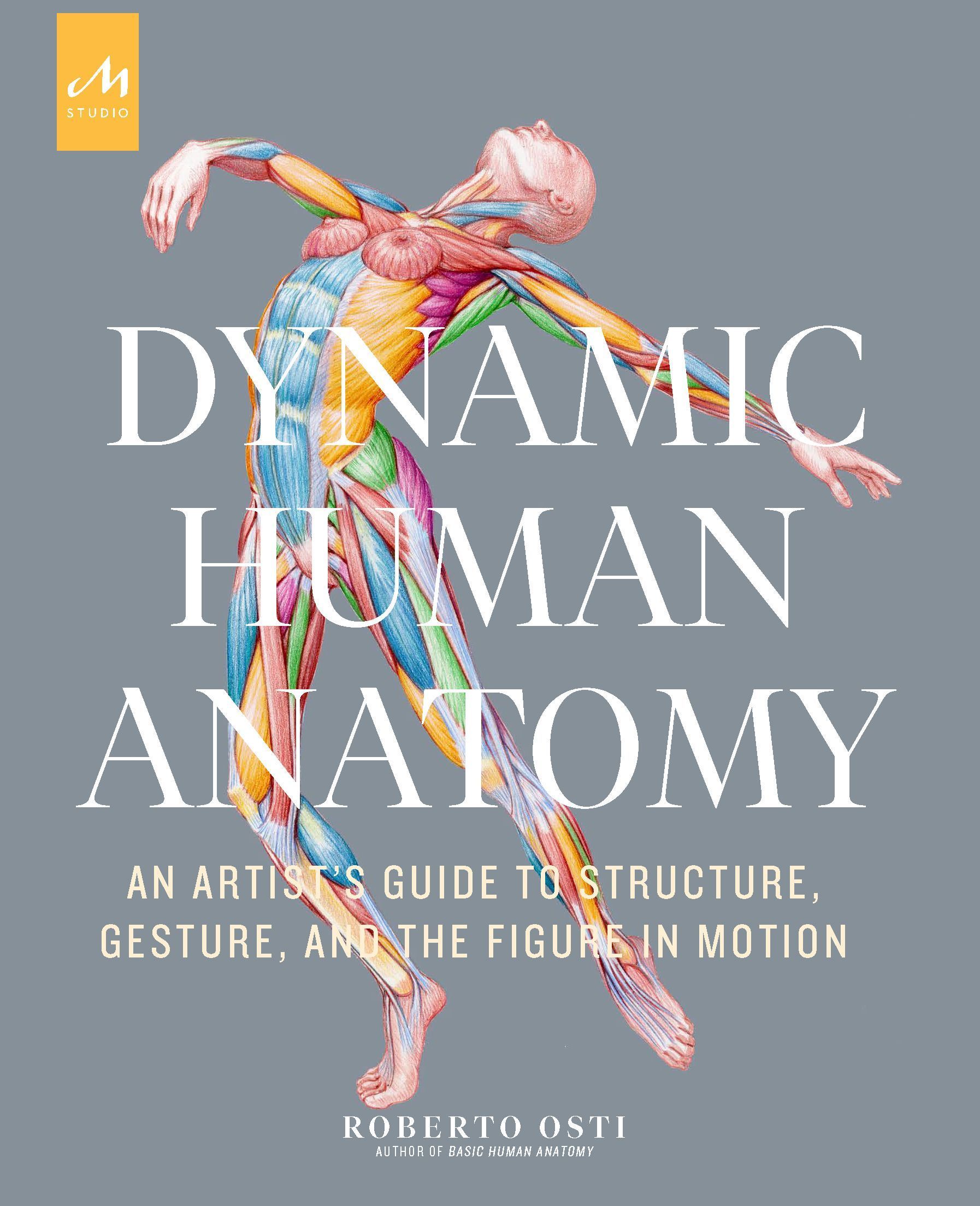 Dynamic Human Anatomy By Roberto Osti 9781580935517 (Hardback)