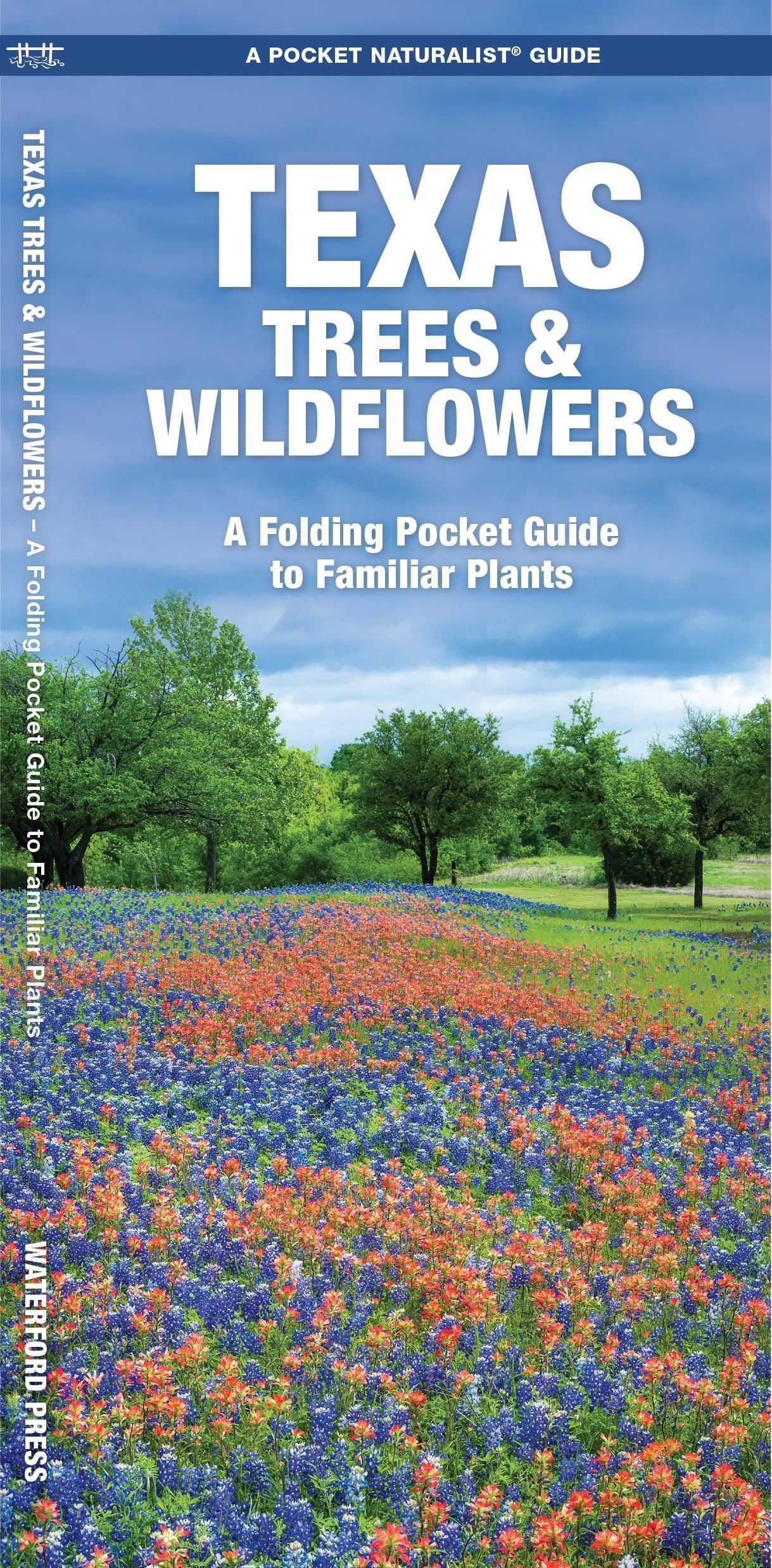 Texas Trees & Wildflowers By James Kavanagh 9781583550984 (Pamphlet)
