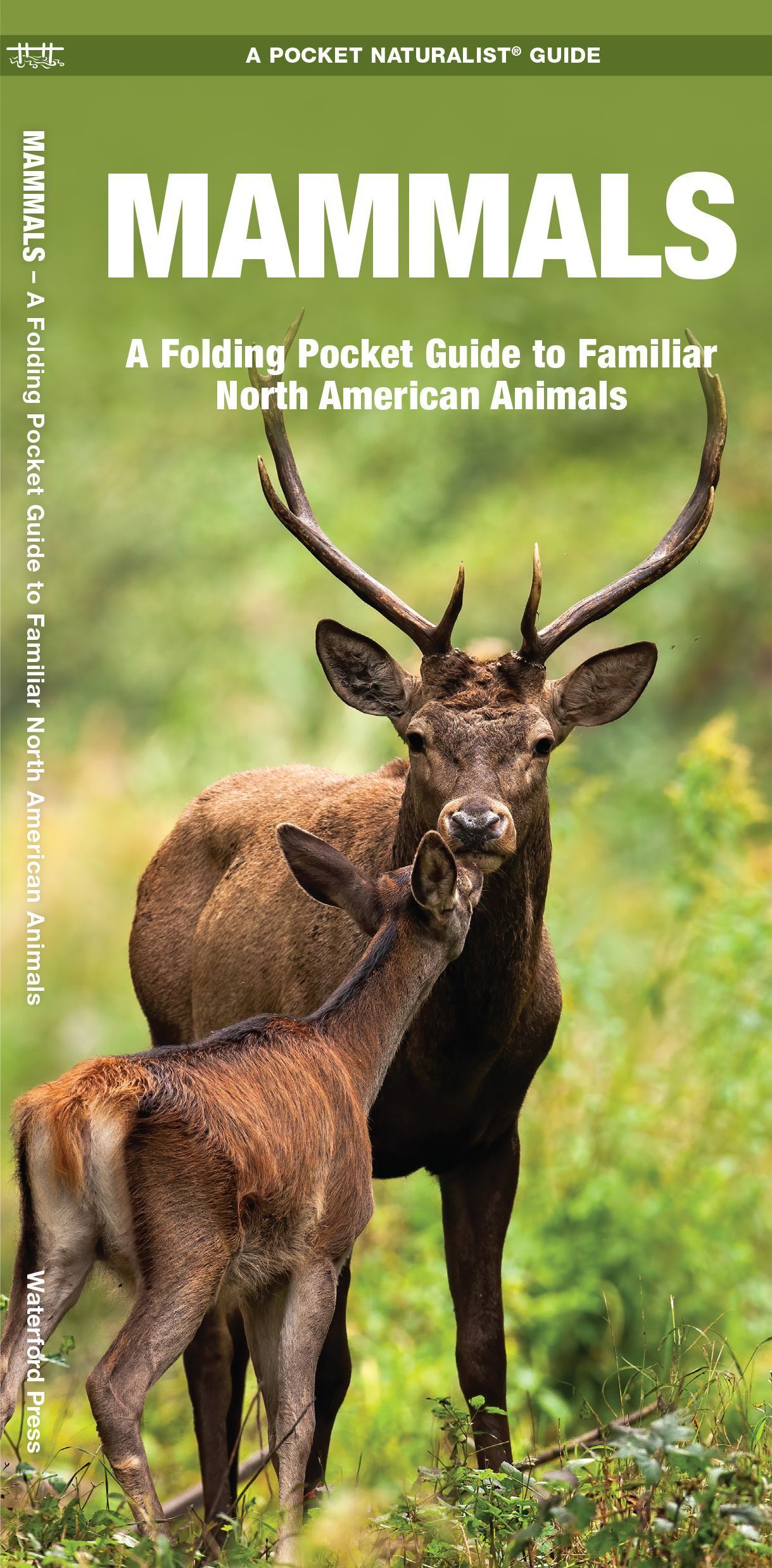 Mammals By James Kavanagh 9781583551776 (Pamphlet)