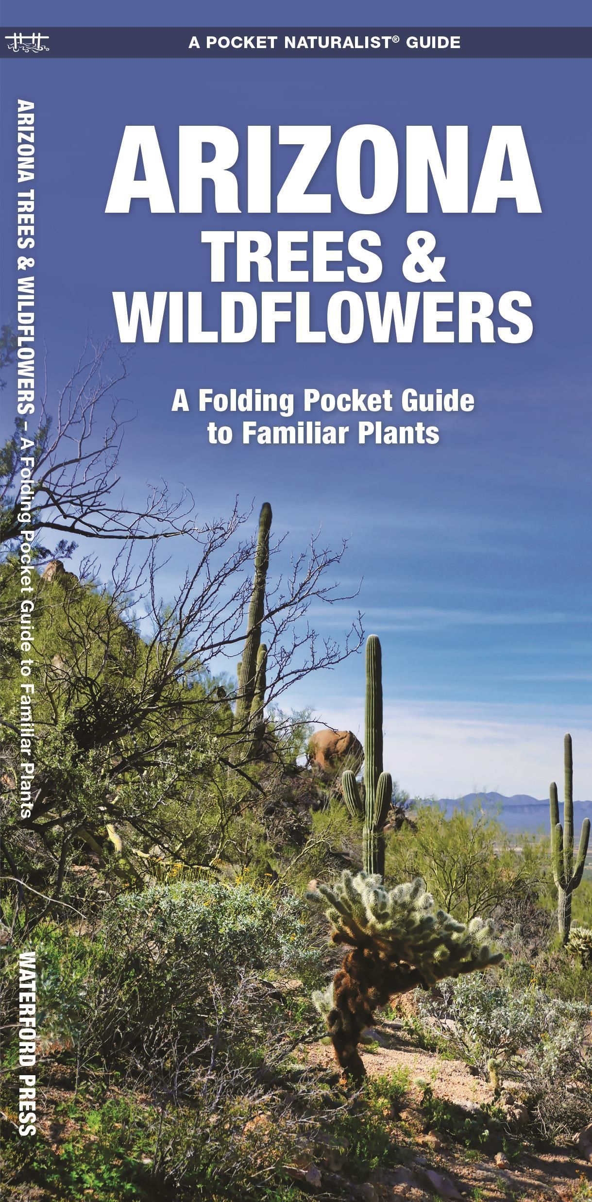 Arizona Trees & Wildflowers By James Kavanagh 9781583551882 (Pamphlet)