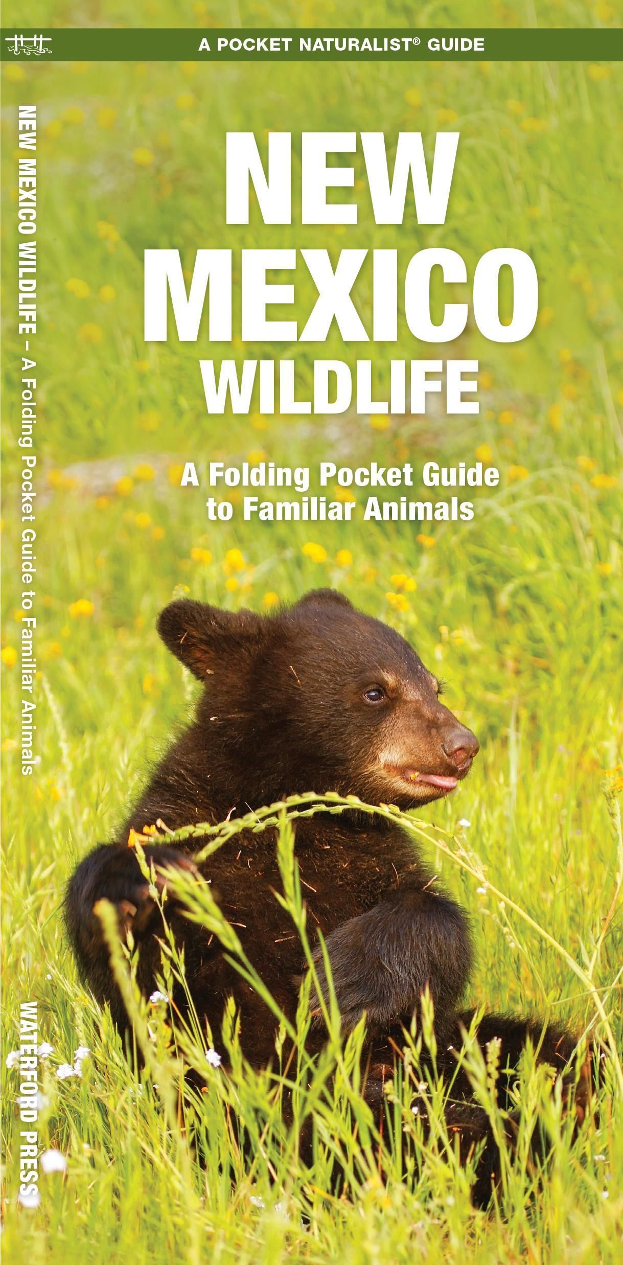New Mexico Wildlife By James Kavanagh 9781583552902 (Pamphlet)