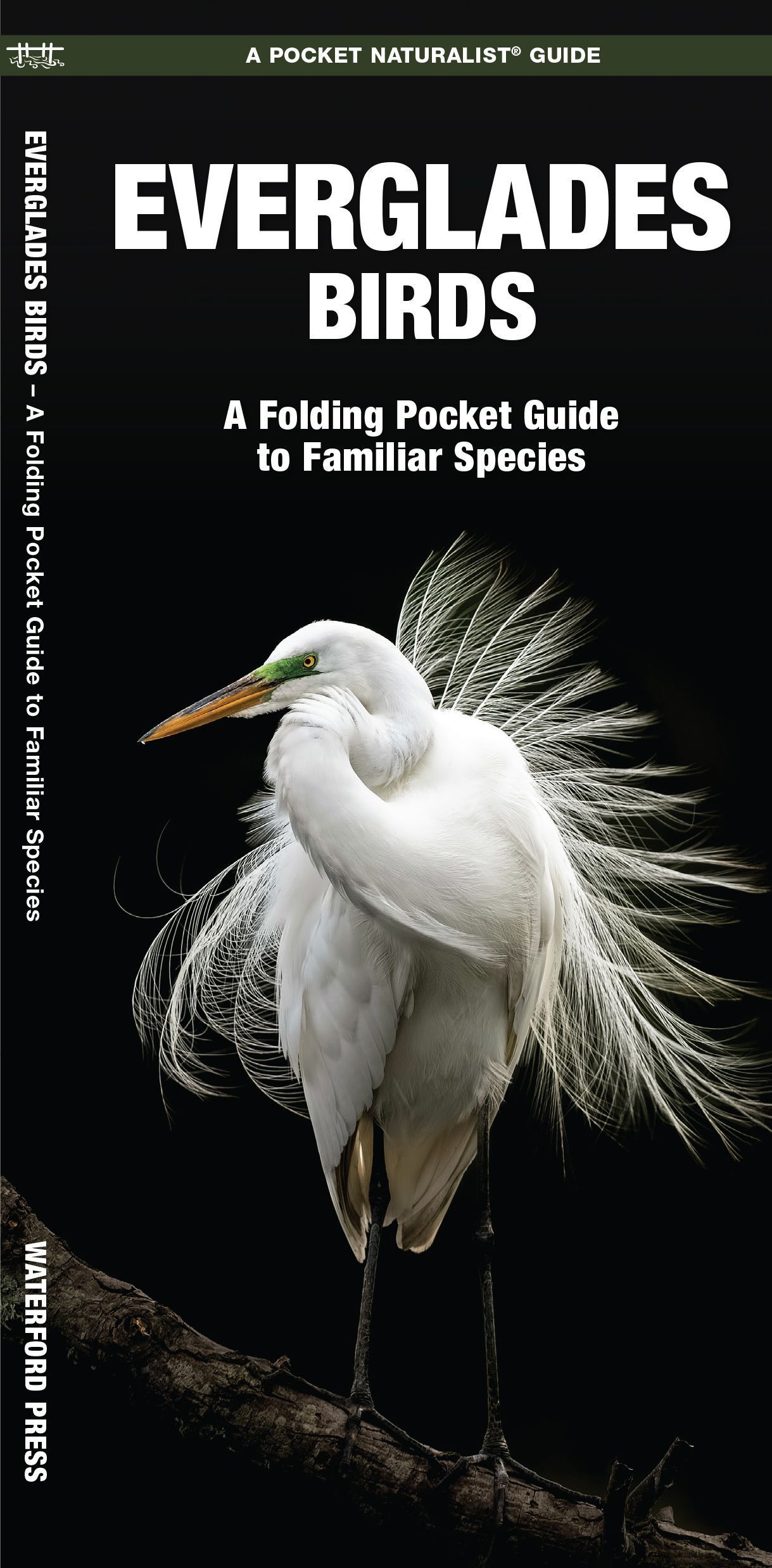 Everglades Birds By James Kavanagh 9781583553350 (Pamphlet)