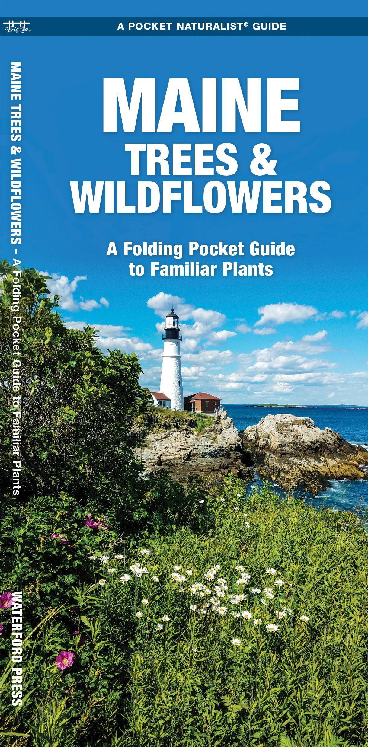 Maine Trees & Wildflowers By James Kavanagh 9781583554111 (Pamphlet)