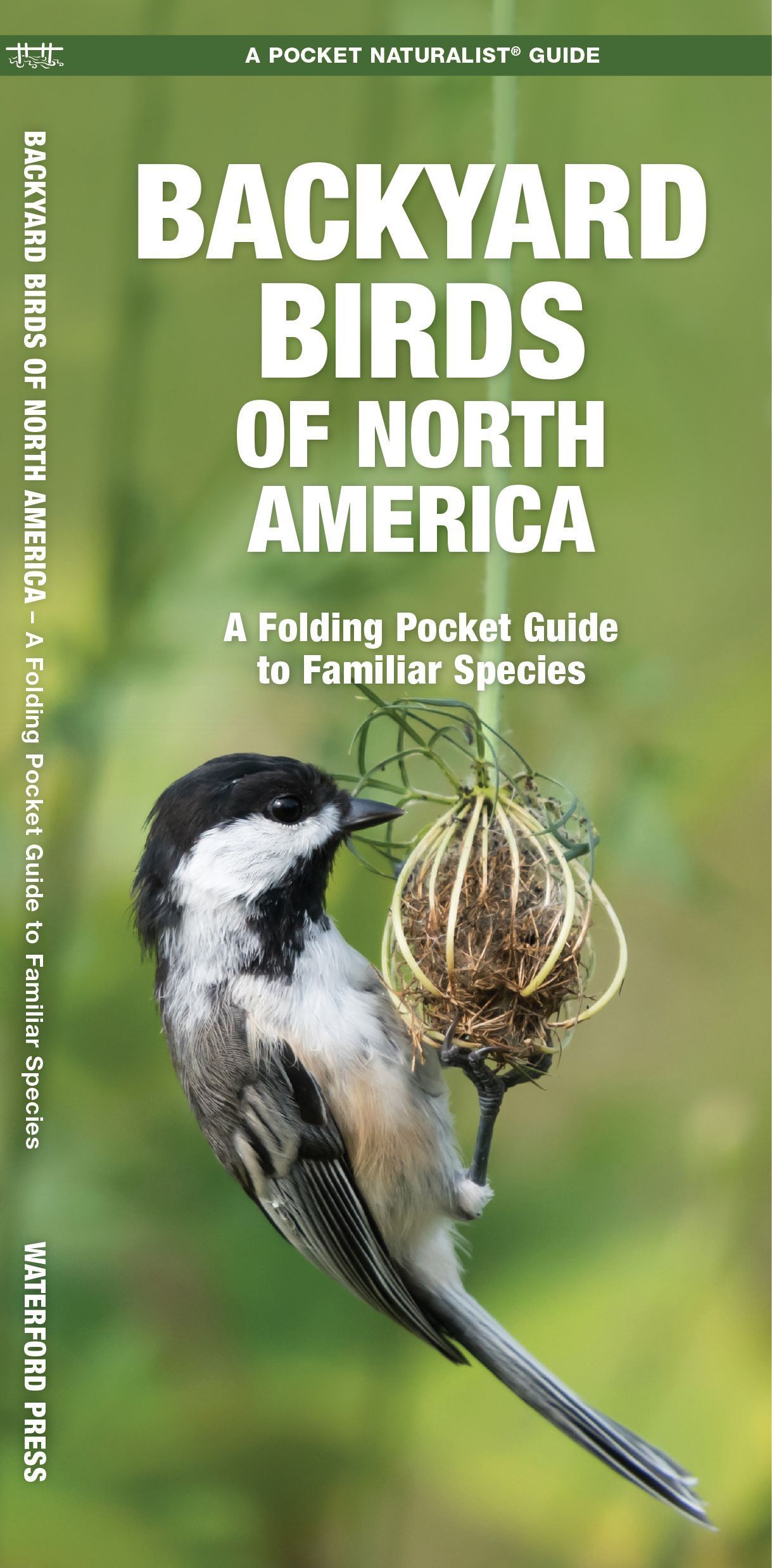 Backyard Birds of North America By Waterford Press 9781583554647