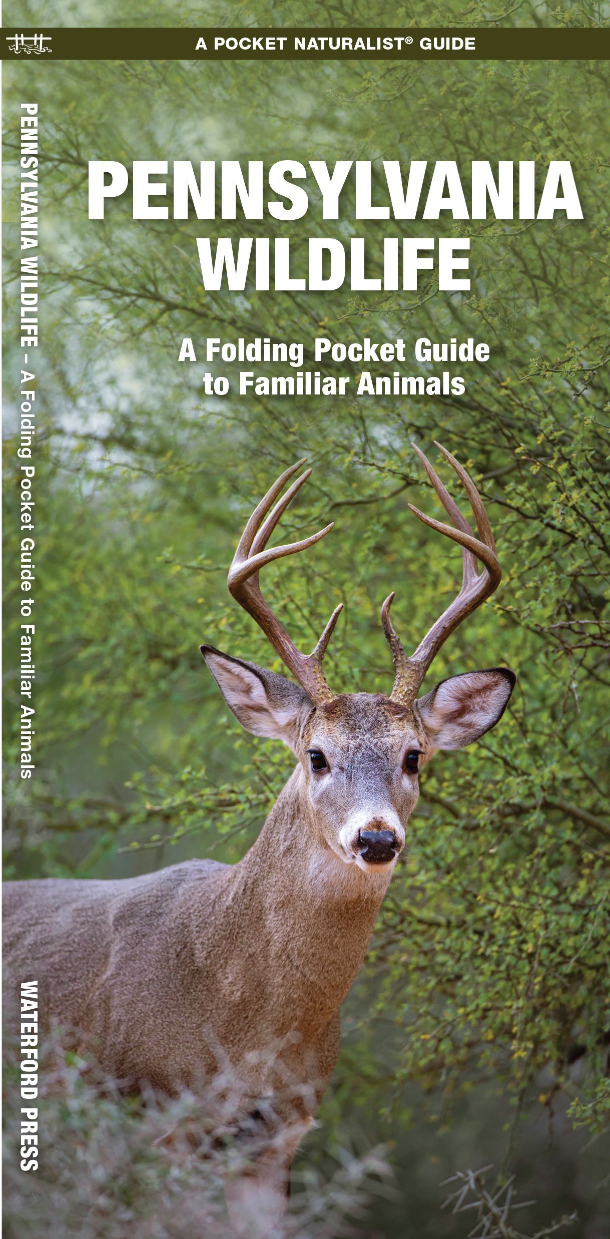 Pennsylvania Wildlife By James Kavanagh 9781583554838 (Pamphlet)