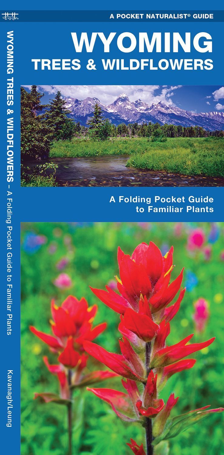 Wyoming Trees & Wildflowers By James Kavanagh 9781583555200 (Pamphlet)