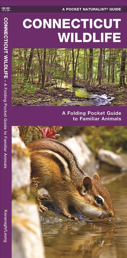 Connecticut Wildlife By James Kavanagh 9781583556122 (Pamphlet)