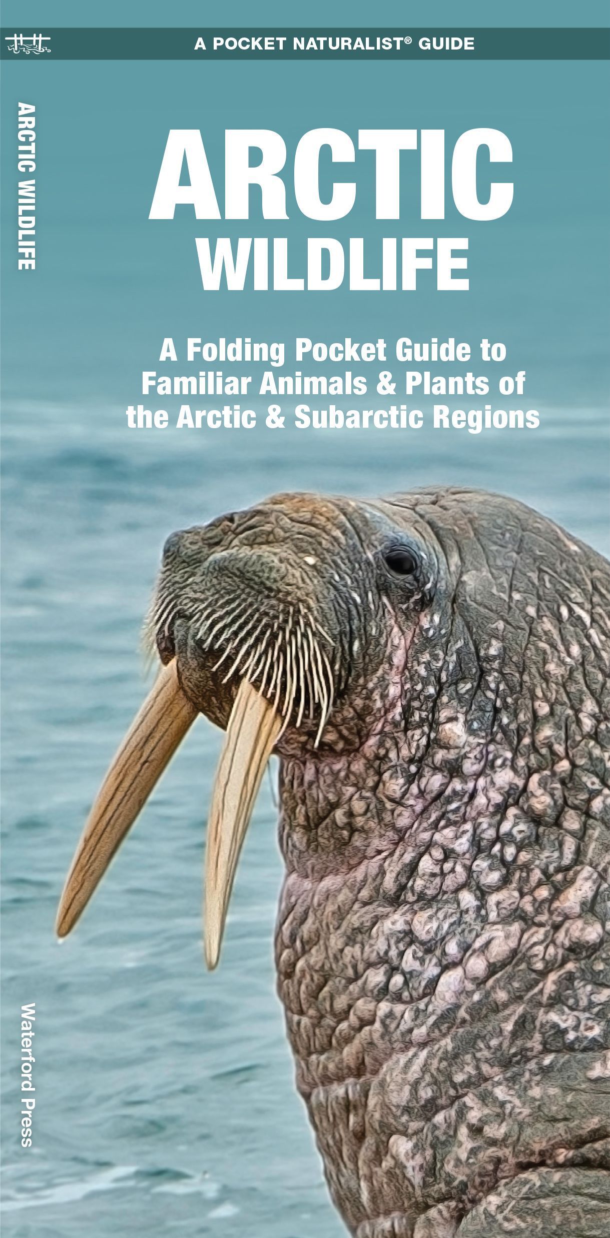 Arctic Wildlife By James Kavanagh 9781583558294 (Pamphlet)