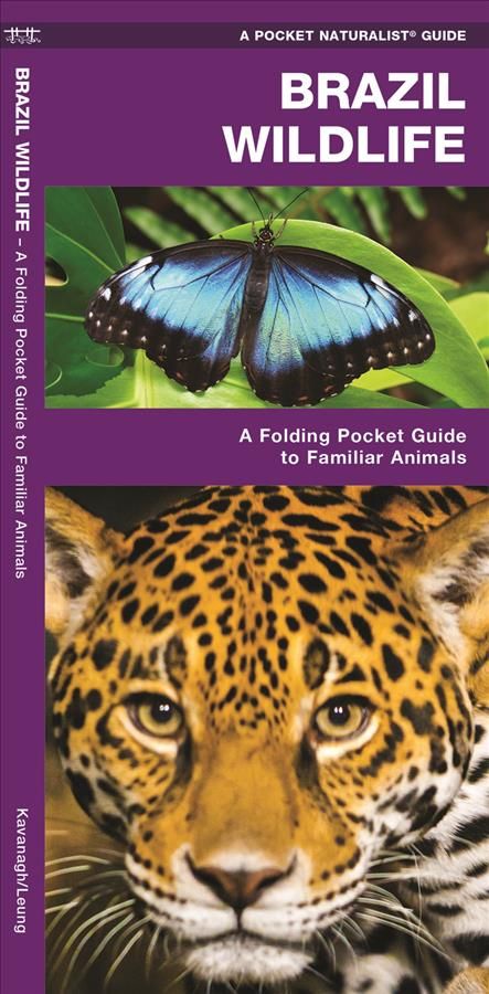 Brazil Wildlife By James Kavanagh 9781583559901 (Pamphlet)