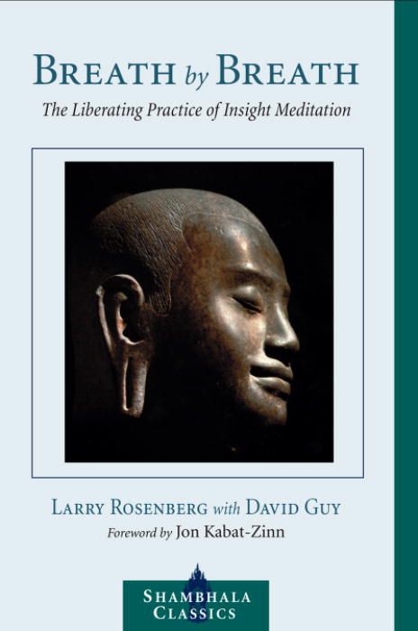 Breath by Breath By Larry Rosenberg, David Guy 9781590301364