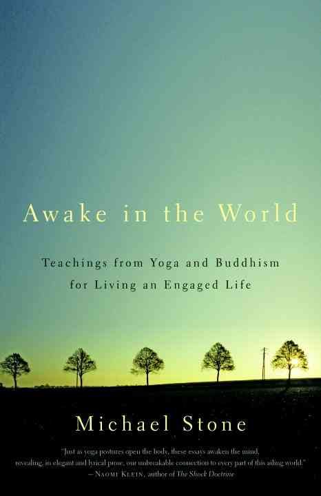 Awake in the World By Michael Stone 9781590308141 (Paperback)