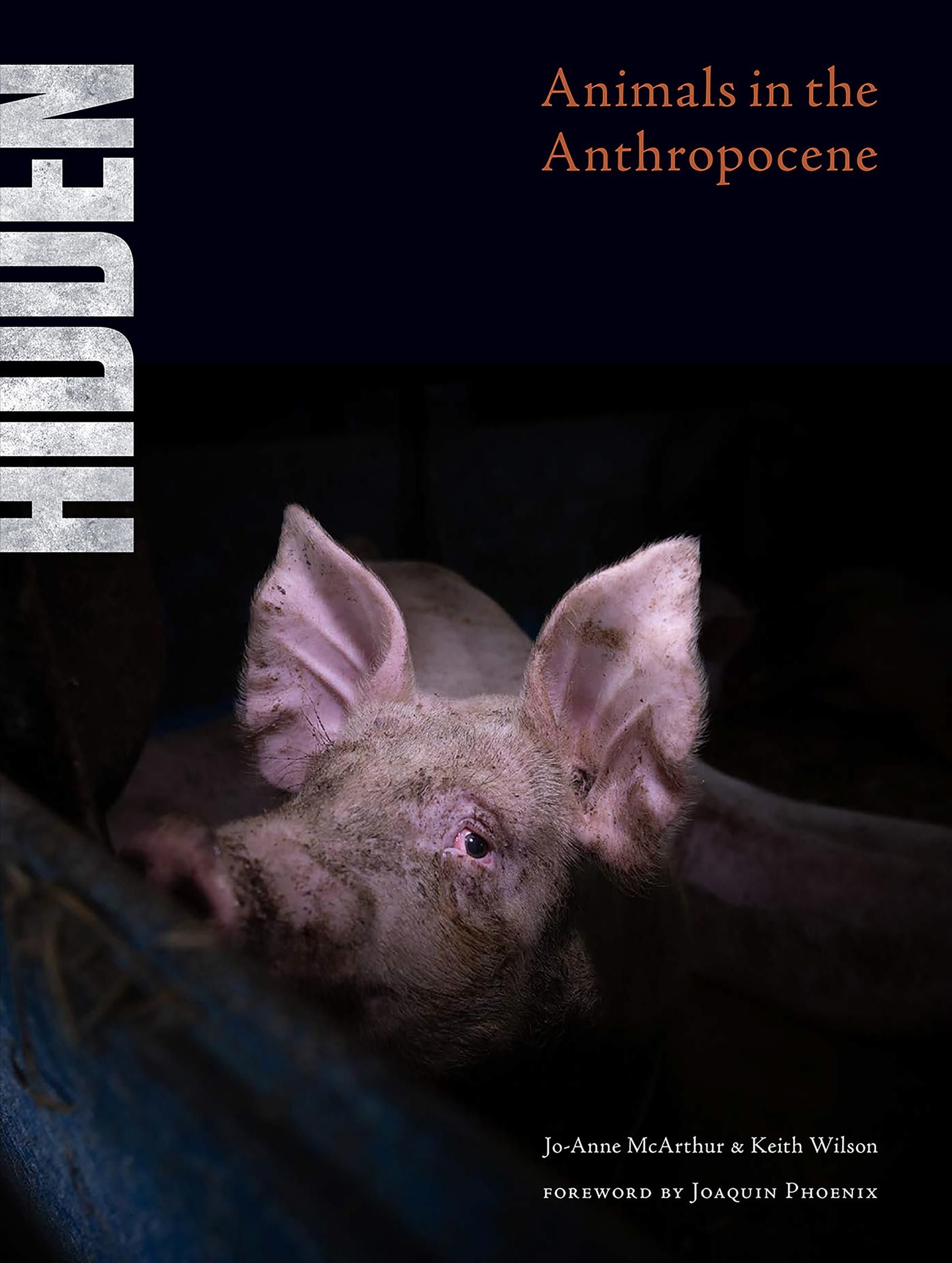Hidden 9781590566381 (Hardback)