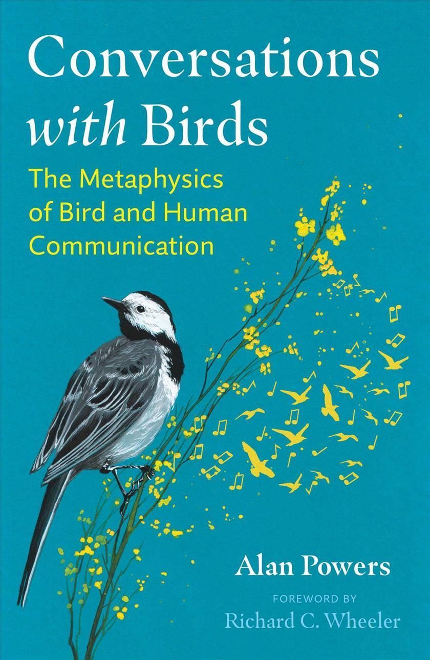 Conversations With Birds By Alan Powers 9781591434511 (Paperback)