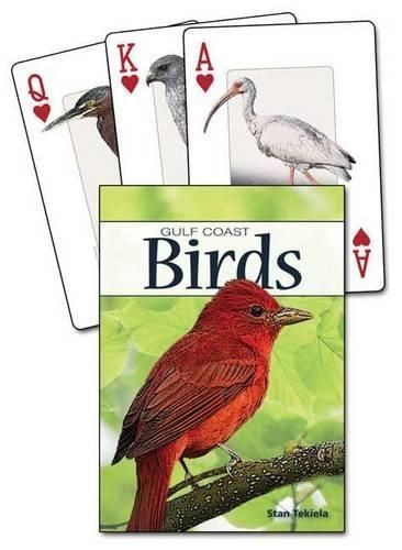 Birds of the Gulf Coast By Stan Tekiela 9781591933601